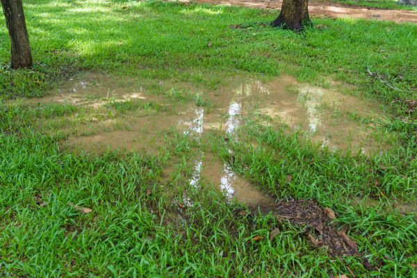 Cost of Storm Water Drainage Service in Poulsbo
