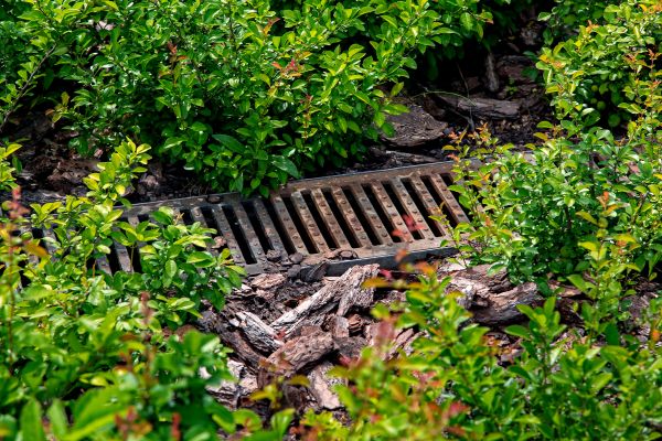 Cost of Underground Drainage Service in Poulsbo