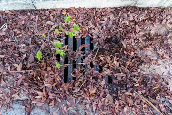 Cost of Yard Drain Unclogging in Poulsbo