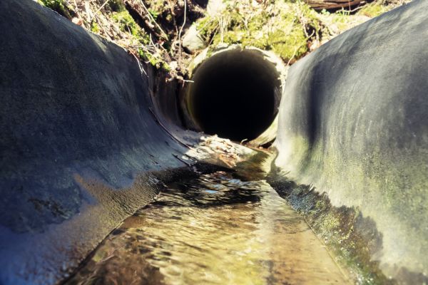 Drainage Swale Installation in Poulsbo