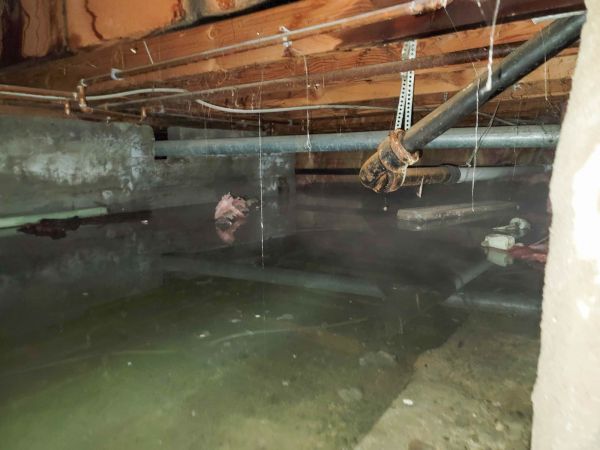 Cost of Crawlspace Drainage in Poulsbo