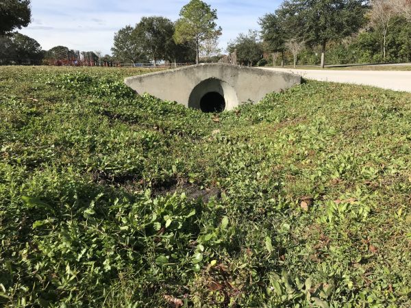 Cost of Swale Drainage Service in Poulsbo